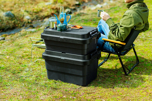 ストレージ トランクカーゴS蓋 30L LOW TYPE 幅60×奥行39×高さ24cm キング