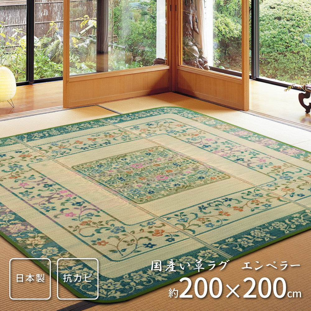 ラグ 国産い草ラグ 裏貼り エンペラー 200×200cm ラグマット カーペット 絨毯 抗菌 消臭