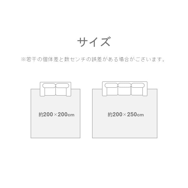 花ござ アルバSPFX BE200X200 200×200cm ラグマット カーペット ラグ 絨毯