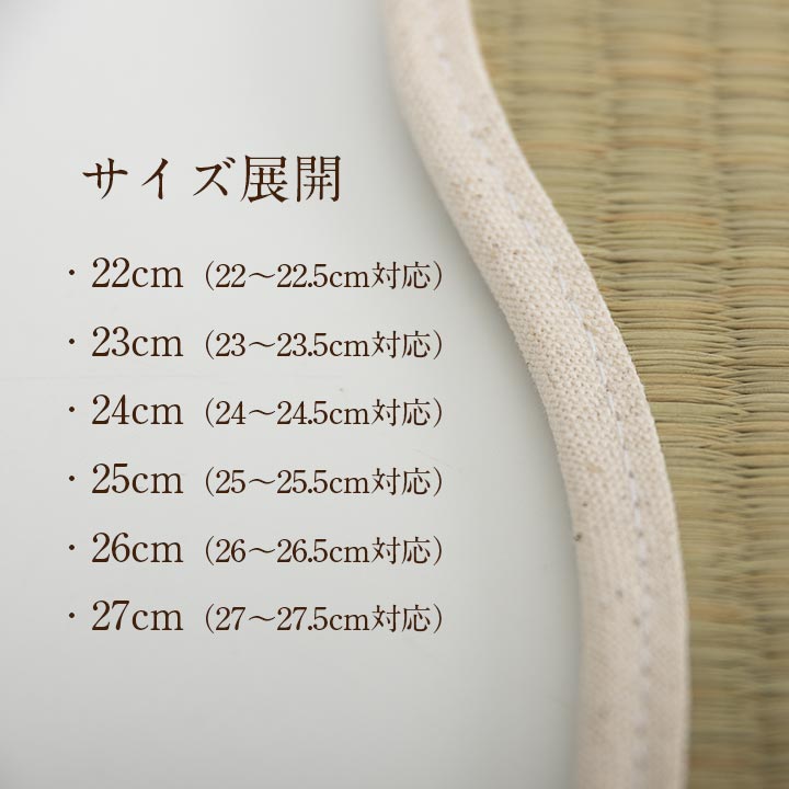 足さらインソール 22cm 製品X22 日用品 消臭 インソール 生活雑貨 さっと入れるだけ!