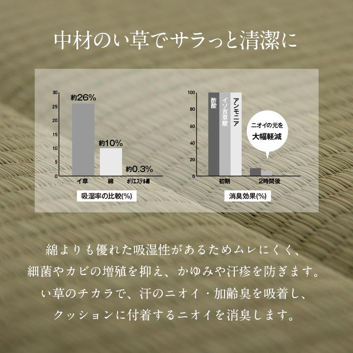 中身い草のシート 40×40 40X40 40×40cm 日用品 抗菌 消臭 クッション シート