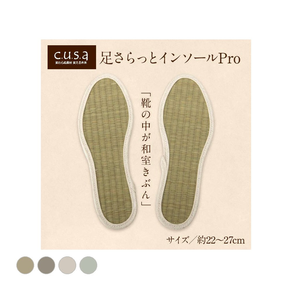 足さらインソール 22cm 製品X22 日用品 消臭 インソール 生活雑貨 さっと入れるだけ!