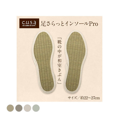 足さらインソール 22cm 製品X22 日用品 消臭 インソール 生活雑貨 さっと入れるだけ!