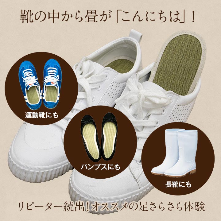 足さらインソール 22cm 製品X22 日用品 消臭 インソール 生活雑貨 さっと入れるだけ!