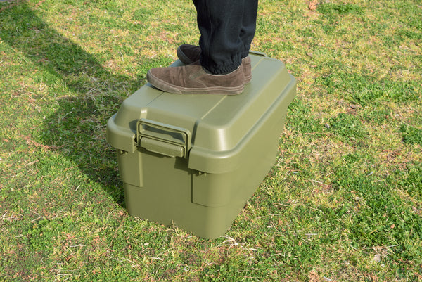 ストレージ トランクカーゴ 70L 幅78×奥行39×高さ37cm リビング収納 完成品 組立不要