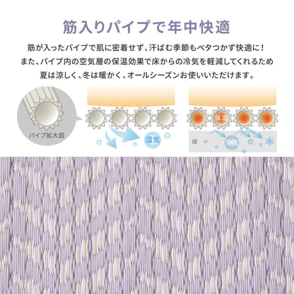 ラグ カーペット 江戸間 洗えるい草風カーペット パスラッシュ 2畳 174×174 ラグマット