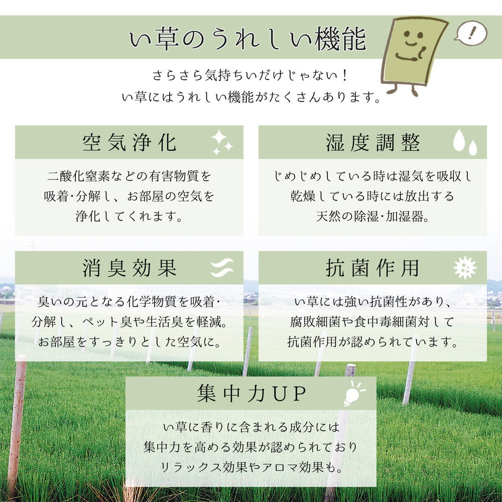 ラグ 国産い草ラグ 裏貼り 吉兆 きっちょう 191×191cm ラグマット カーペット 絨毯 抗菌