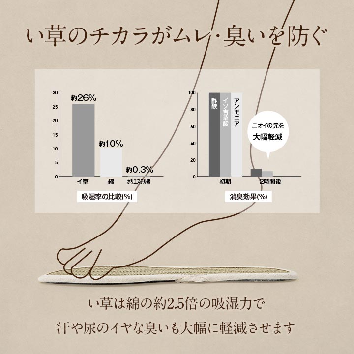 足さらインソール 22cm 製品X22 日用品 消臭 インソール 生活雑貨 さっと入れるだけ!