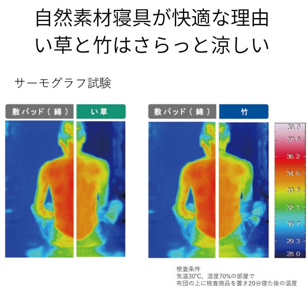 敷パッド ラーデBL ネゴザ 80×180×0.2cm 日用品 寝具