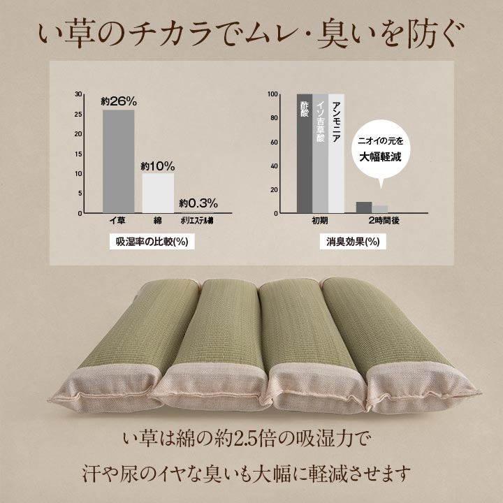 背中さらっとクッション50角 50X50 50×50cm 日用品 ハイバック 消臭 クッション