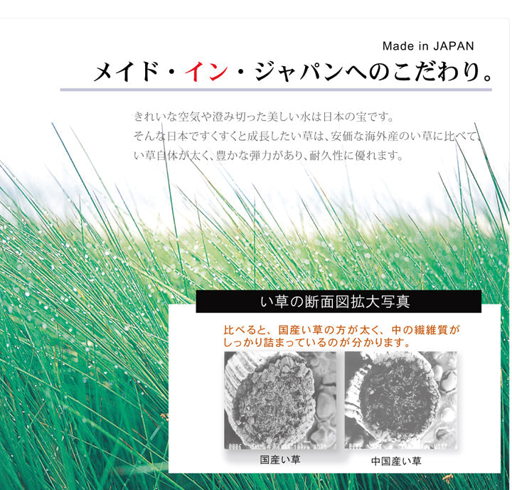 ラグ Fナール 普通版正方形 BR 191X191 191×191cm ラグマット カーペット 絨毯
