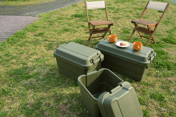 ストレージ トランクカーゴ 70L 幅78×奥行39×高さ37cm リビング収納 完成品 組立不要