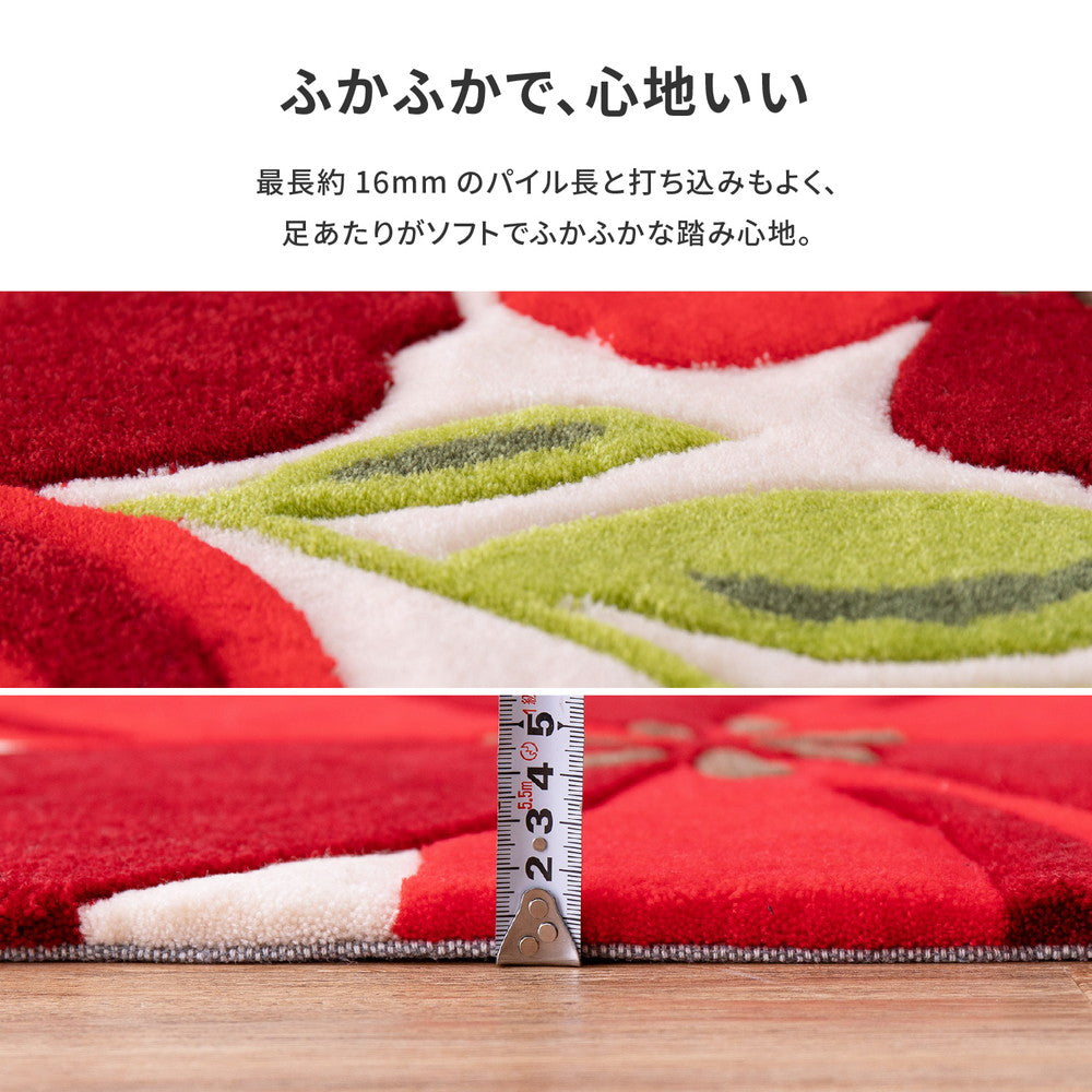 ラグマット 玄関マット アベル 50×80cm カーペット ラグ 絨毯 滑り止め