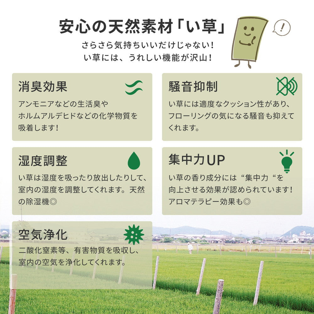 ラグ カーペット 江戸間 国産い草カーペット 天草 1帖 87×174 ラグマット 絨毯 消臭