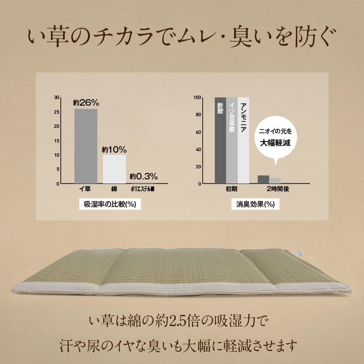 クッション 洗える背中パッド 35×38cm 35X38 日用品 洗える 通気性 クッション・座布団