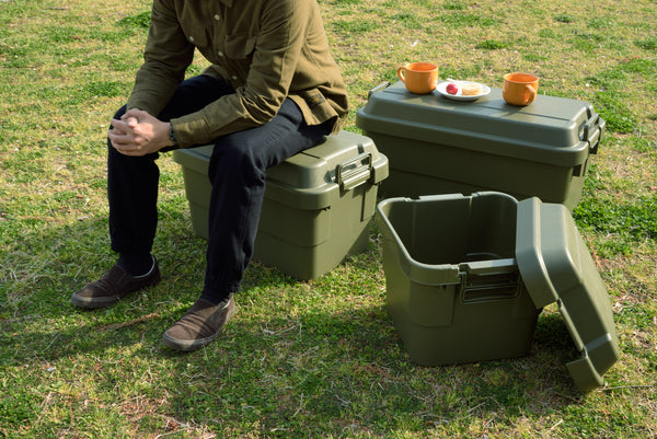 ストレージ トランクカーゴ 70L 幅78×奥行39×高さ37cm リビング収納 完成品 組立不要