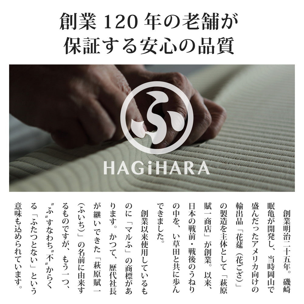 ラグマット アジアンテイストの軽量置き畳 南風 6枚セット 82×82×2.5cm カーペット ラグ