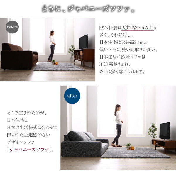 ソファー ロータイプ フロアソファ Lucy ルーシー ワイド肘 2P ローソファー スリム
