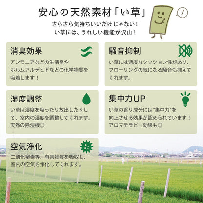 ラグマット カラーの選べる軽量置き畳 綾川 6枚セット 82×82×2.5cm カーペット ラグ