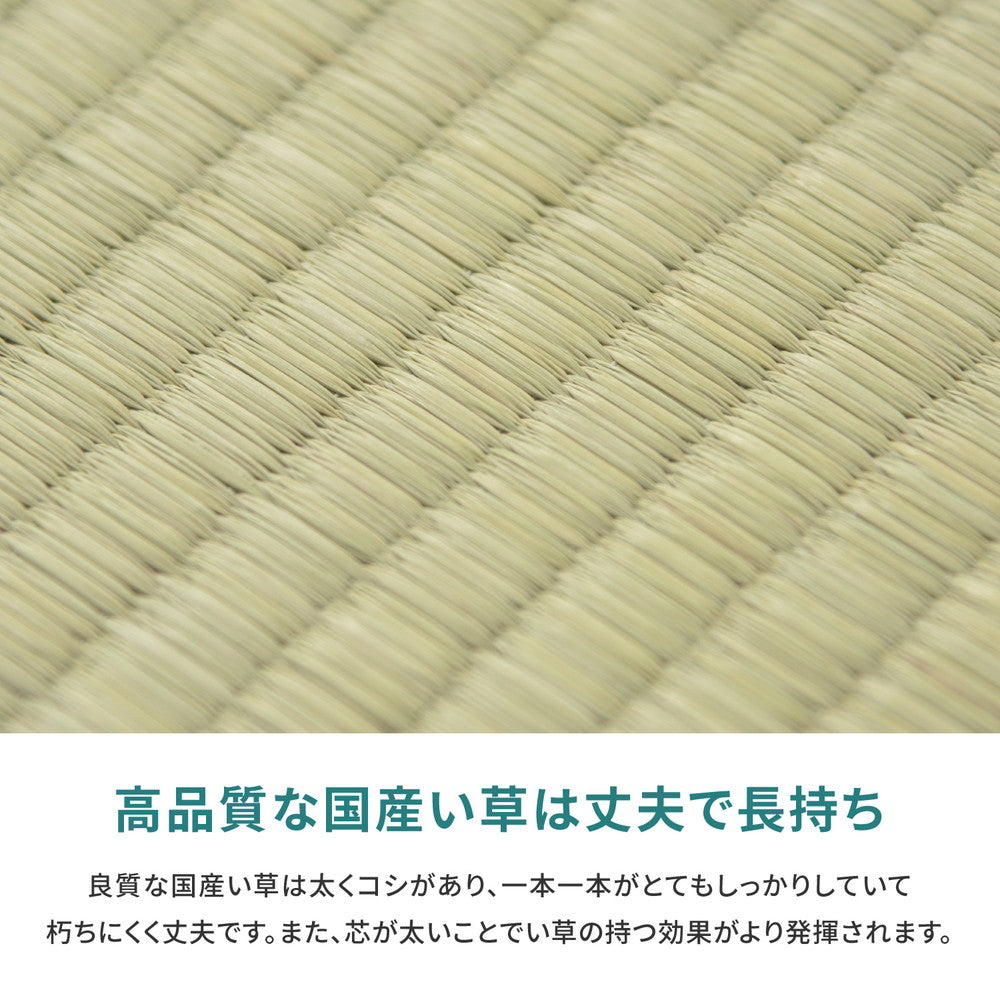 ラグ カーペット 江戸間 国産い草カーペット 天草 1帖 87×174 ラグマット 絨毯 消臭