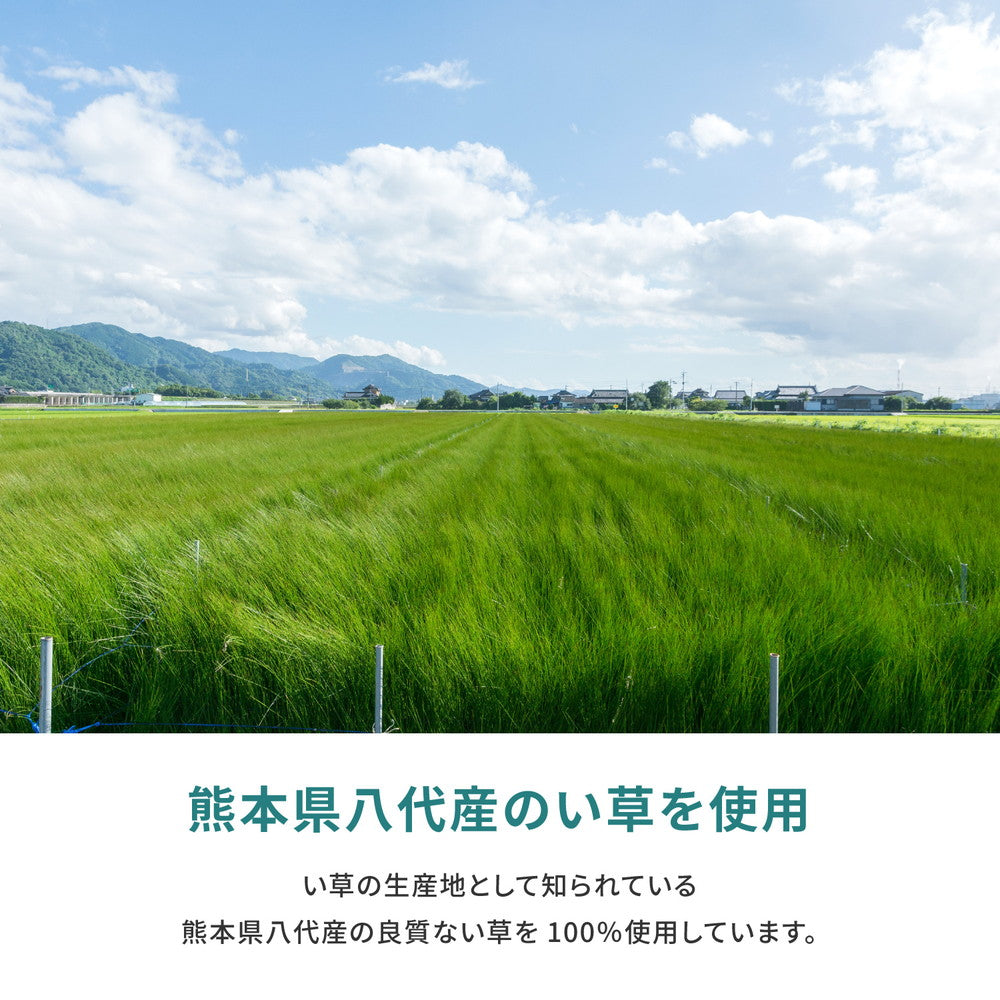 ラグ カーペット 江戸間 国産い草カーペット 天草 1帖 87×174 ラグマット 絨毯 消臭