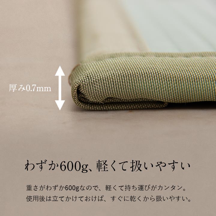 置き畳 浴室畳マット 66×80cm 66X80 60×80×0.7cm ラグマット カーペット