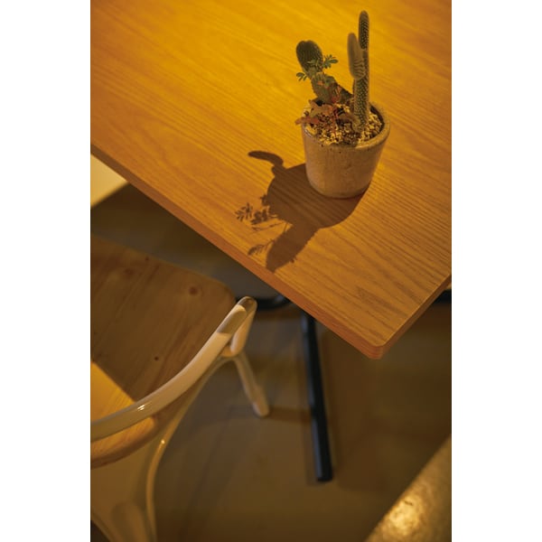 ダイニングテーブル ダリオ カフェテーブル 幅100×奥行60×高さ67cm ダイニング家具 全2色