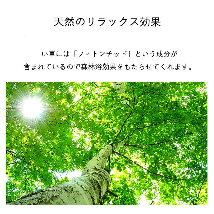 置物 畳のもと 10X95 95×10cm ラグマット カーペット ラグ 絨毯 消臭 日本製