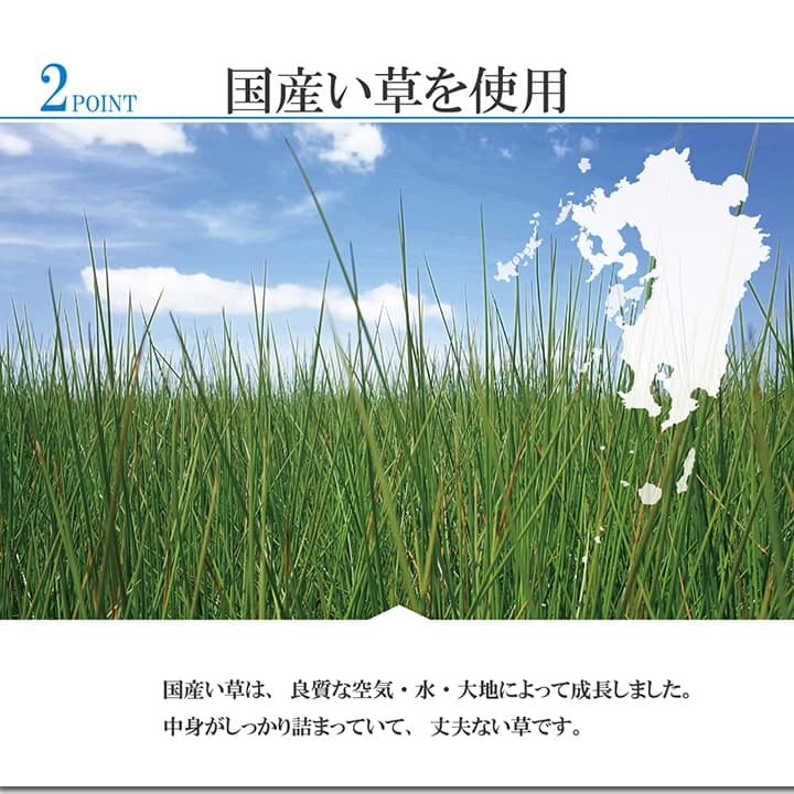 ラグ DXラウム 普通版長方形 BE 191X250 191×250cm ラグマット カーペット