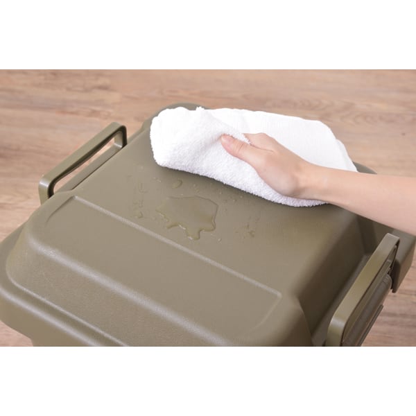 ストレージ トランクカーゴ 50L 幅60×奥行39×高さ37cm リビング収納 完成品