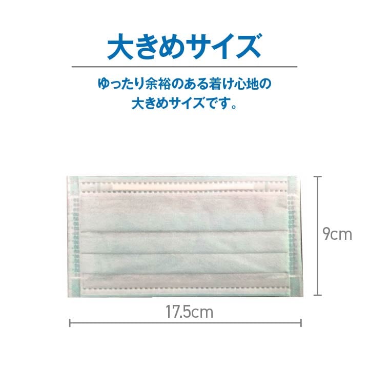 アレルプルーフマスクL 30枚入 9X18 17.5×9cm 日用品 消臭 マスク 生活雑貨 かぜ