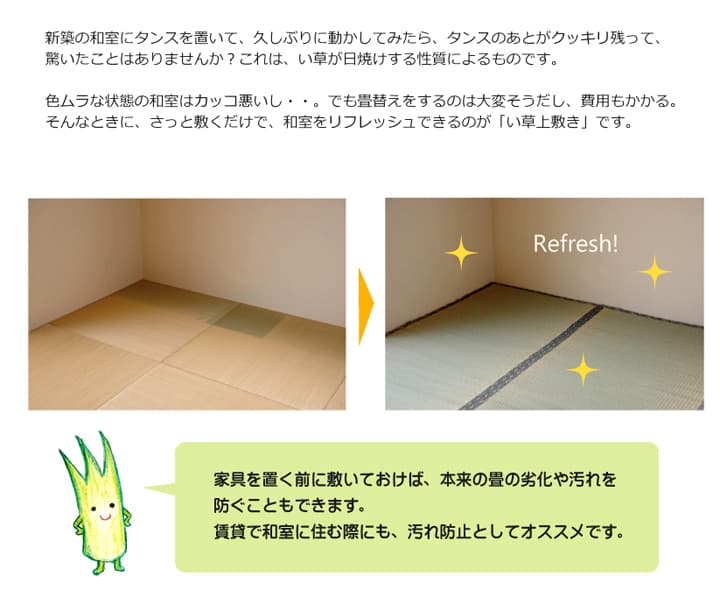 い草ラグ 湯沢 本間3畳 191X286 191×286cm ラグマット カーペット ラグ 絨毯