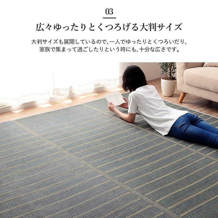 ラグ NCXシルフ 長方形 BL 180X240 180×240cm ラグマット カーペット 絨毯