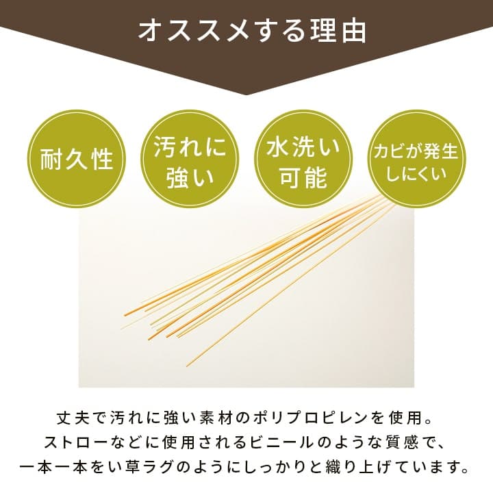 ラグ 五木 江戸間8畳 348X352 348×352cm ラグマット カーペット 絨毯
