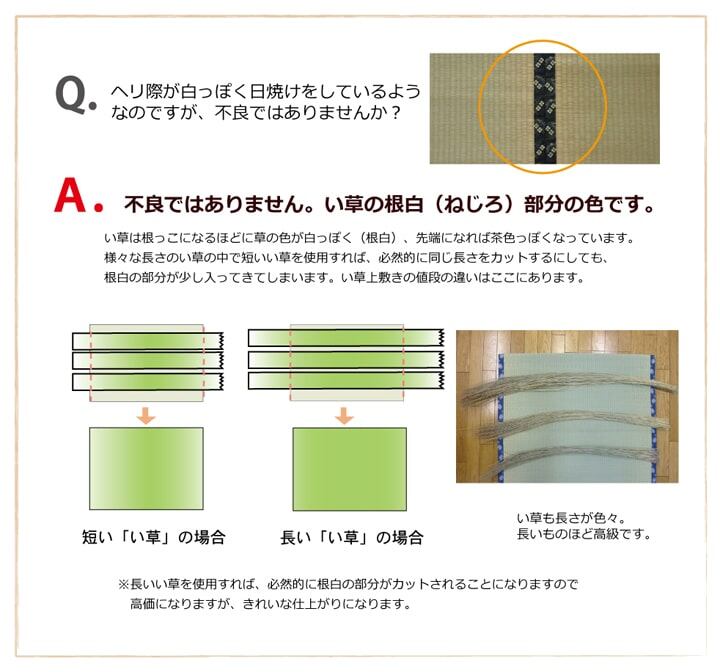 い草ラグ 湯沢 本間1畳 95×191cm ラグマット カーペット 絨毯