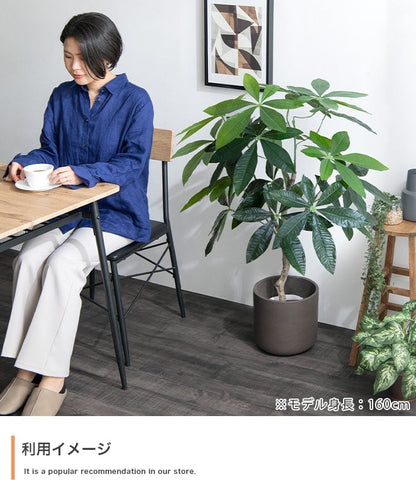 フェイクグリーン・オブジェ 高さ90cm Nature 光触媒人工観葉植物 パキラ