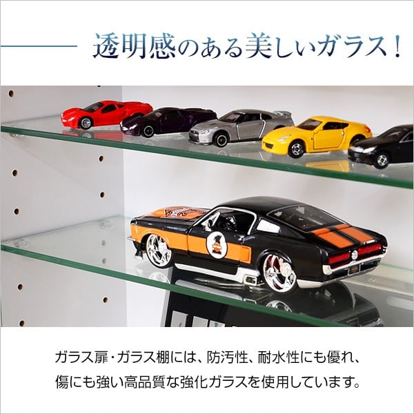 コレクションラック 浅型ハイタイプ コレクションケース 壁面収納 ディスプレイケース リビング収納