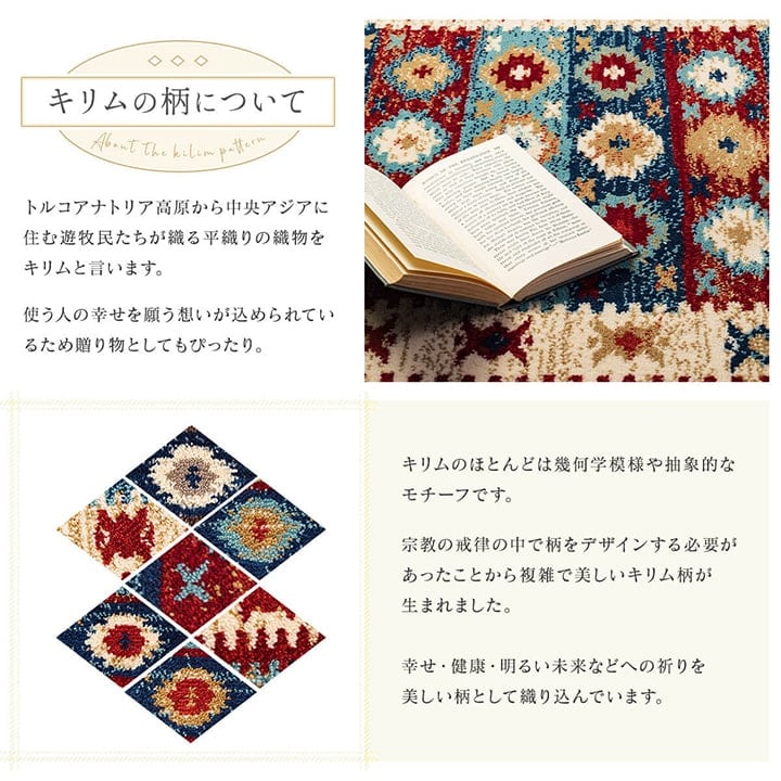 玄関マット プルメリ NV 70X120 70×120cm ラグマット カーペット ラグ 絨毯