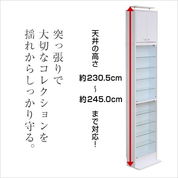 コレクションラック 浅型ハイタイプ(専用上置き) ラック コレクション ボックス ミニカー CD