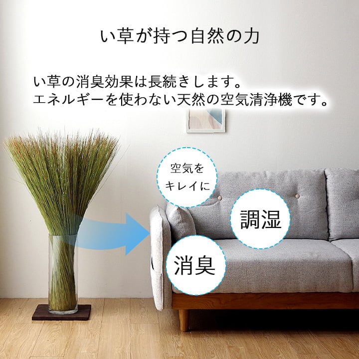 置物 畳のもと 10X95 95×10cm ラグマット カーペット ラグ 絨毯 消臭 日本製