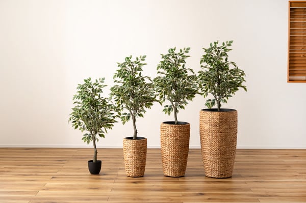 グリーン プランターハイタイプ 幅23×奥行23×高さ37cm 日用品 ハイタイプ 完成品 組立不要