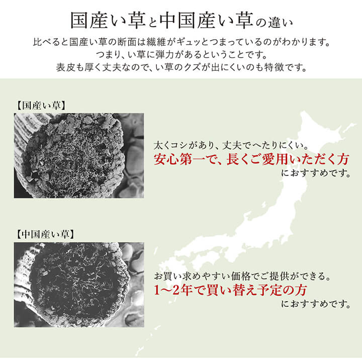 Fソリッド ミニラグ DBR 140X200 140×200cm ラグマット カーペット ラグ 絨毯