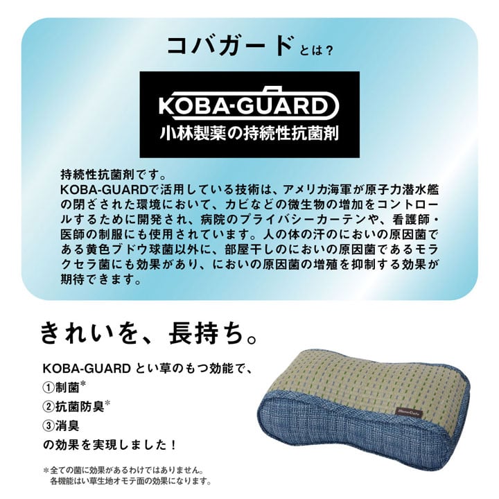 腰当 クリア フィット BL 20X38 38×20cm 日用品 抗菌 ブルー グリーン クッション