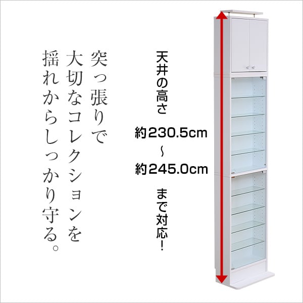 コレクションラック 浅型ハイタイプ(専用上置き) ラック コレクション ボックス ミニカー CD