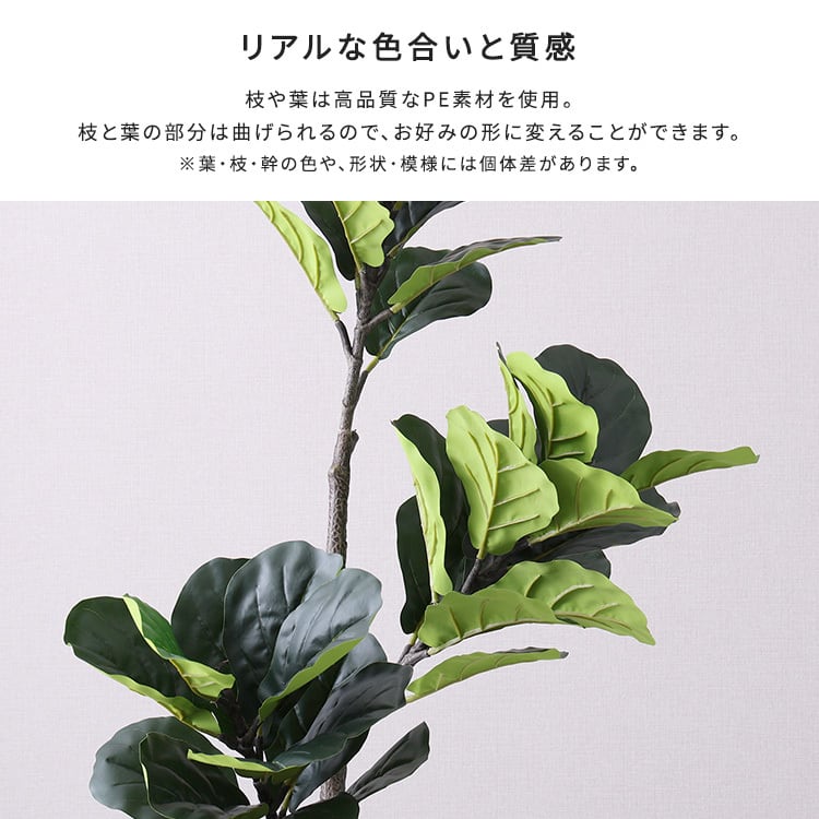 お手入れ簡単フェイクグリーン フィカス・リラータ Lサイズ(180cm) フェイクグリーン 観葉植物