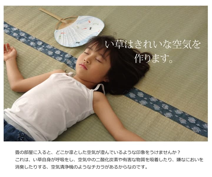 い草ラグ ほほえみ 三六4.5畳 273X273 273×273cm ラグマット カーペット ラグ