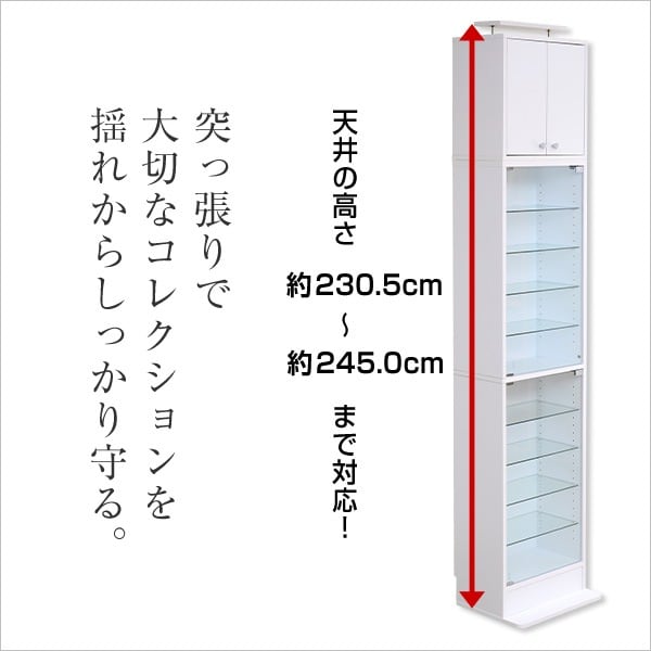 コレクションラック 深型ハイタイプ セット(本体+上置き) コレクションケース 壁面収納 収納棚
