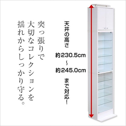 コレクションラック 深型ハイタイプ セット(本体+上置き) コレクションケース 壁面収納 収納棚