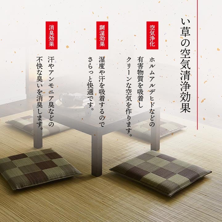 ブロック 座布団 5P BR 55X55 55×55cm 日用品 消臭 日本製 布団