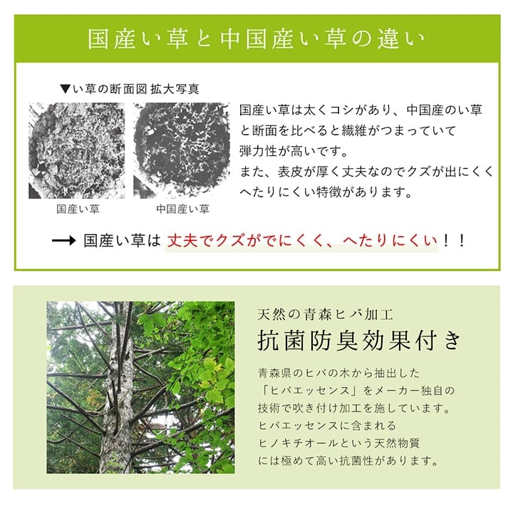 ラグ DXカラフルブロック 普通版長方形 BL 191X250 191×250cm ラグマット 絨毯